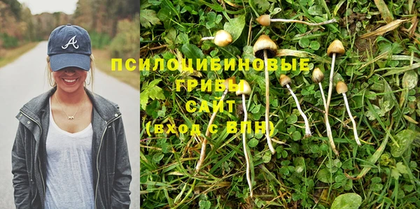 мяу мяу мука Беломорск