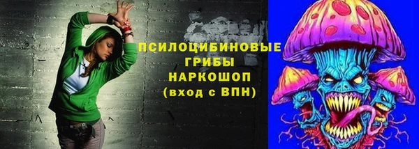 молекула духа Белокуриха